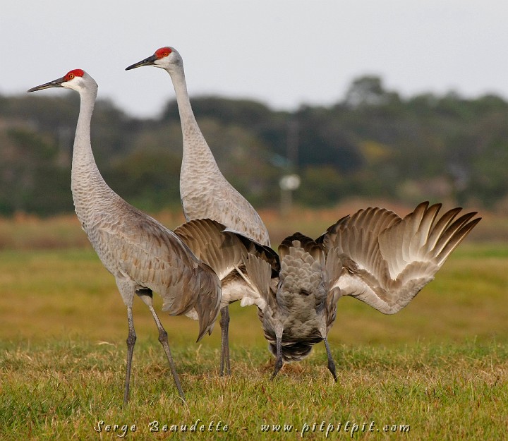 2009-01-04 16-20-38__MG_9920.JPG